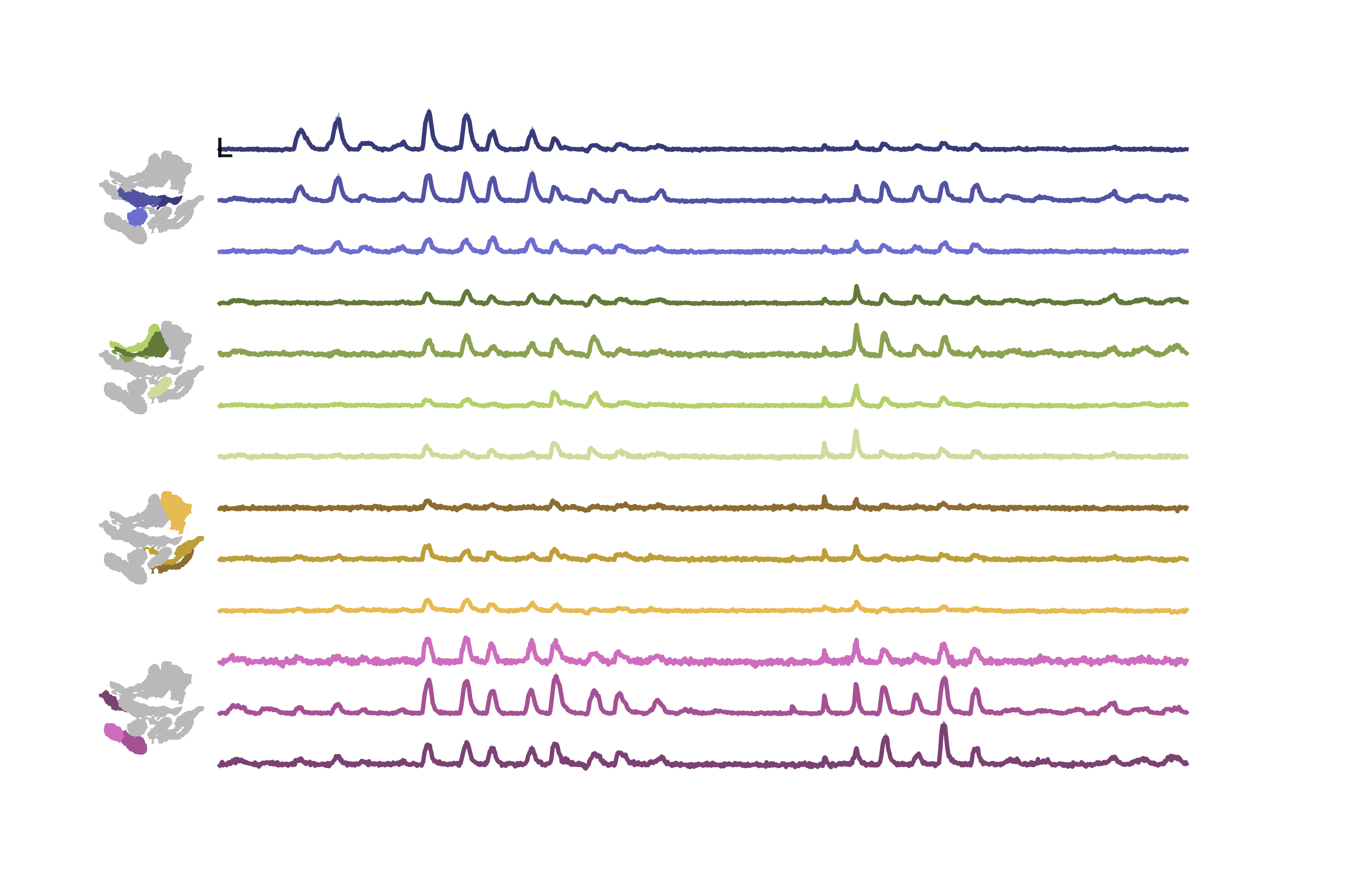 Optic glomerulus responses